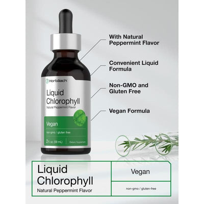Horbaach Liquid Chlorophyll Drops – Plant-Based Daily Wellness