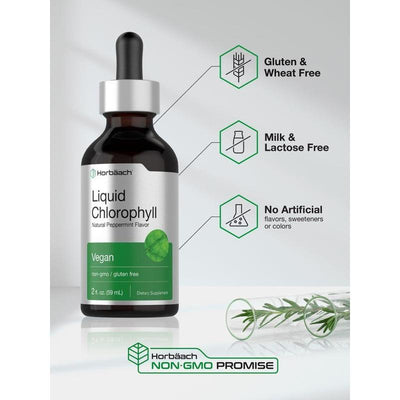 Horbaach Liquid Chlorophyll Drops – Plant-Based Daily Wellness